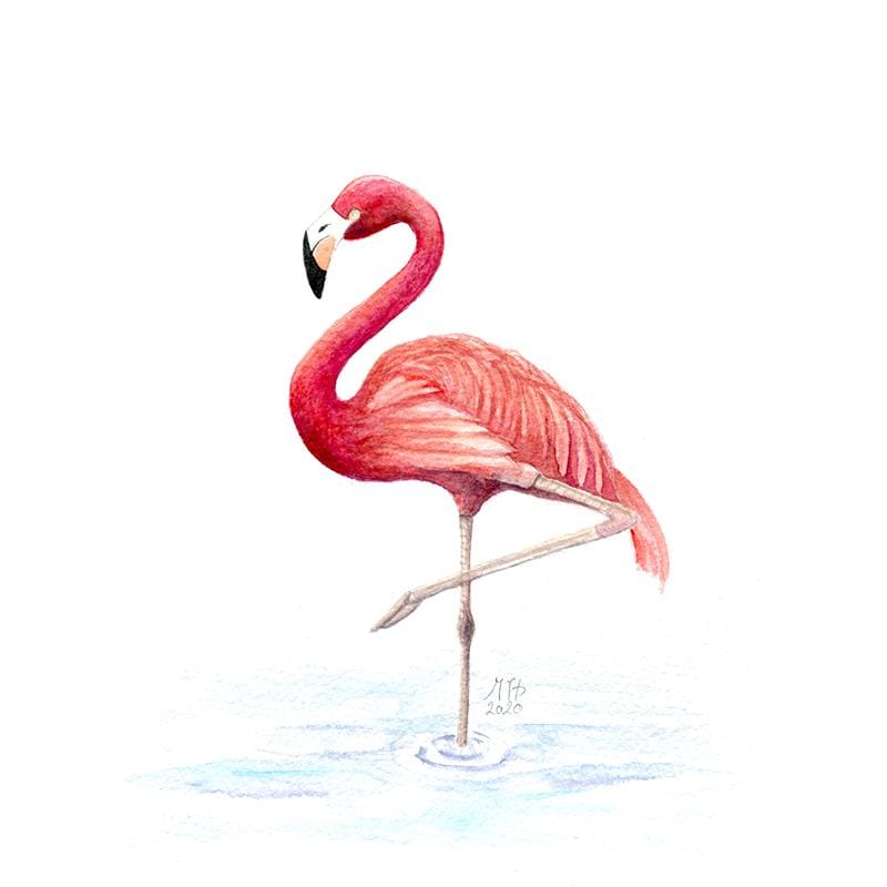 Project Flamingo - image 1 - student project