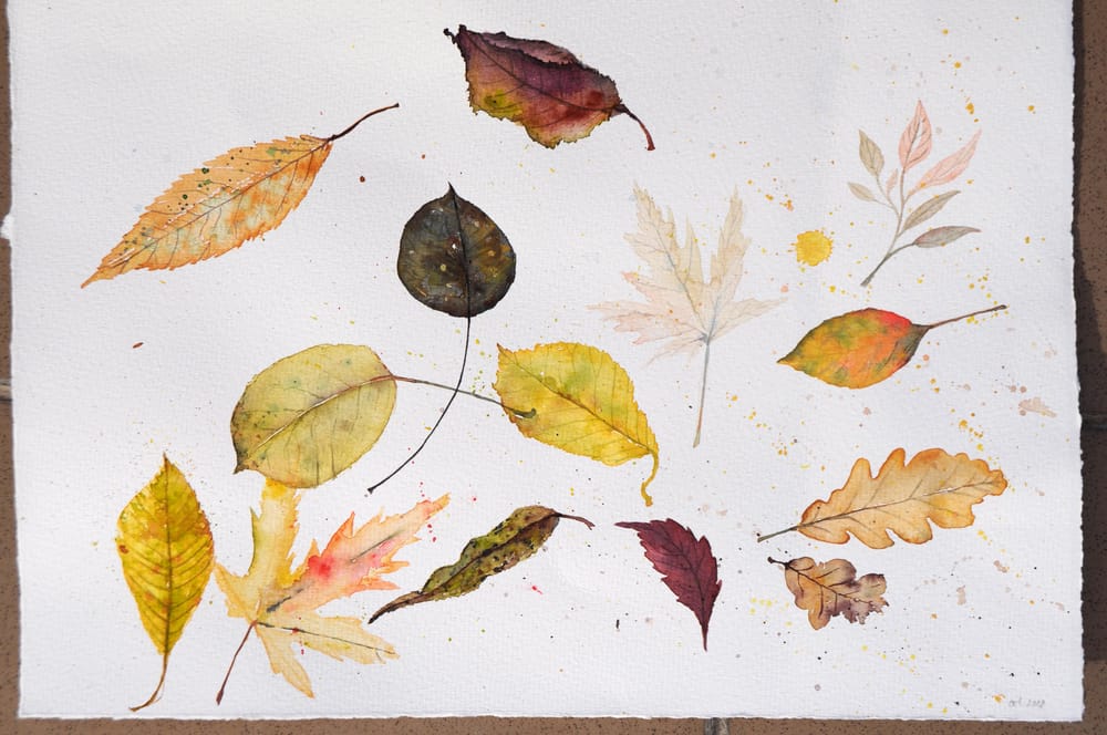 Autumn Bliss - image 1 - student project