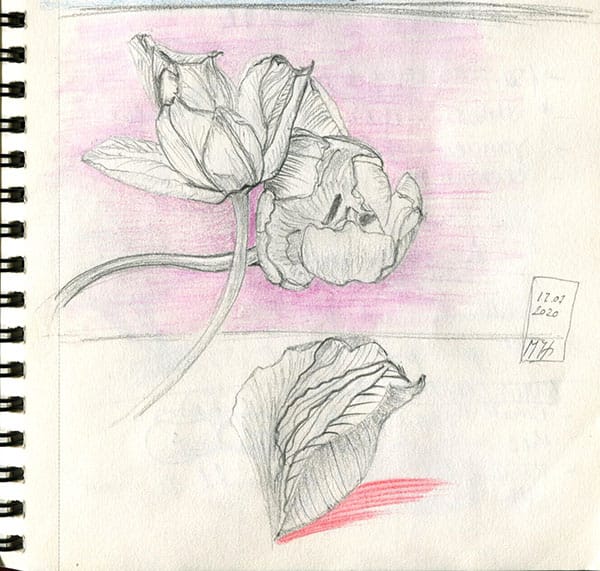 Tulips and Blackbird - image 2 - student project