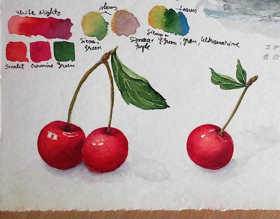 Watercolor Cherries and Berries :) - image 3 - student project