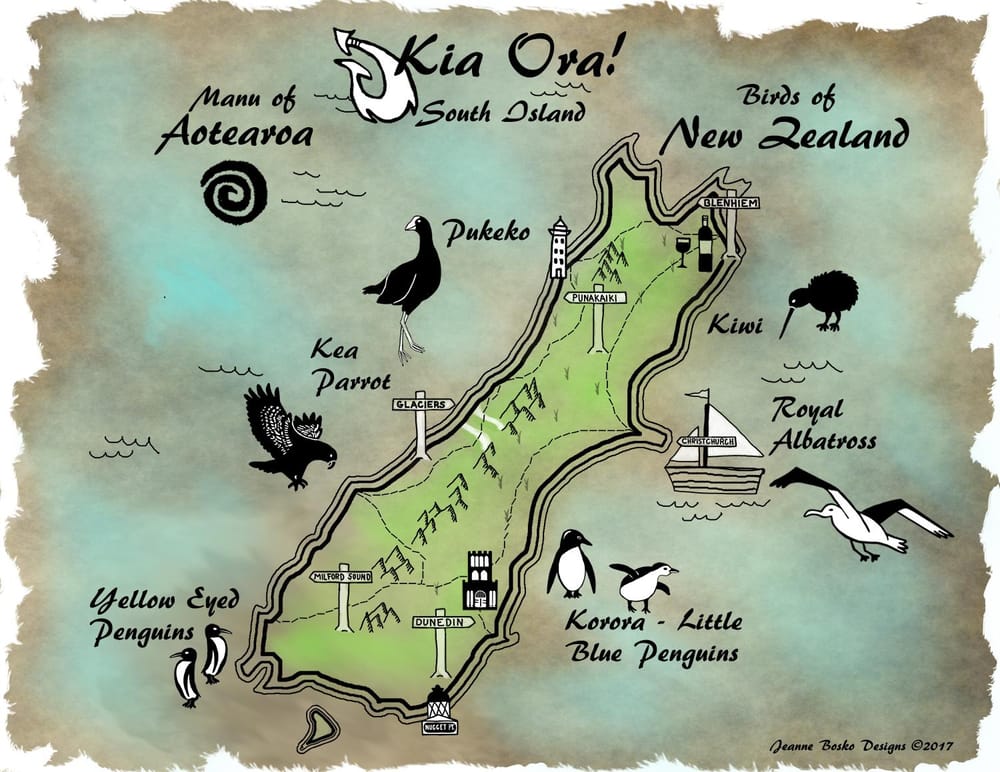 Birds of New Zealand - image 1 - student project