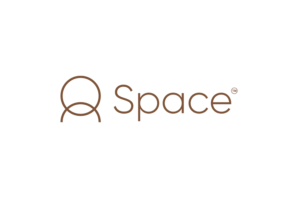 Space - Brand Identity - image 3 - student project