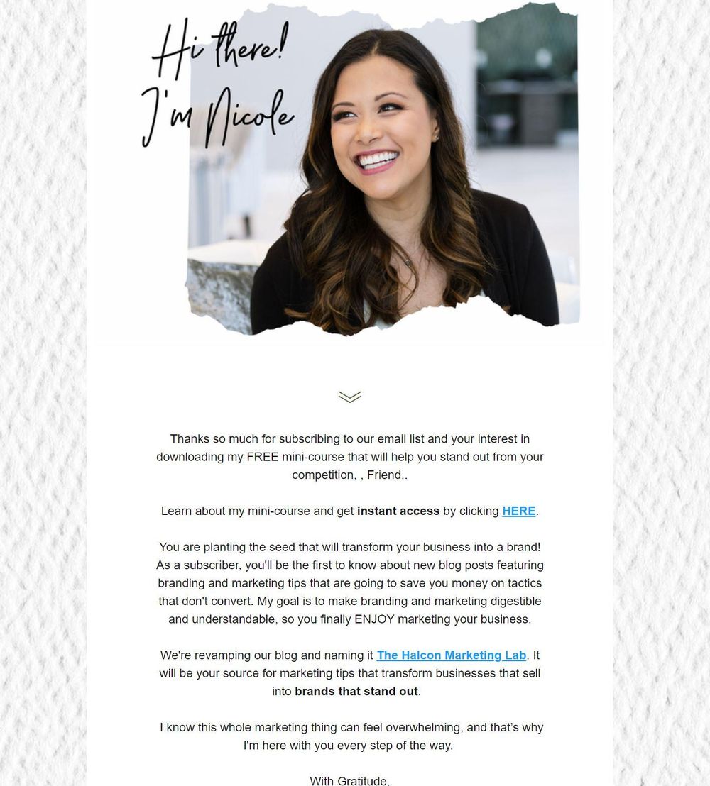Halcon Marketing Lab Newsletter - image 1 - student project