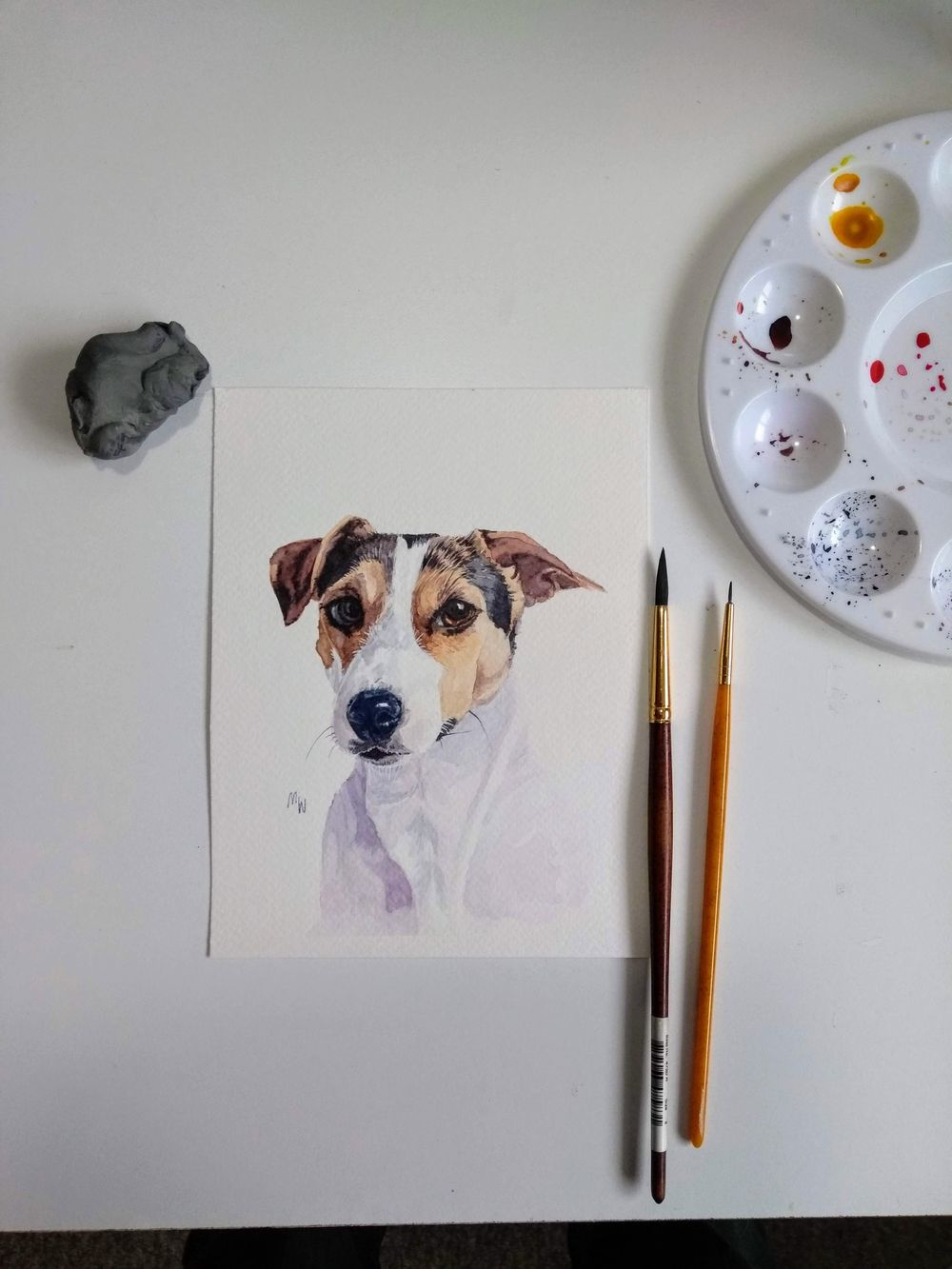 Chihuahua - image 1 - student project