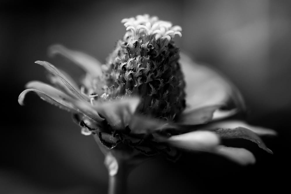 the out of doors - image 4 - student project