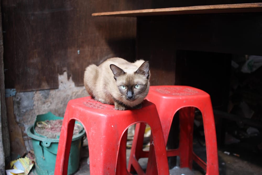 A little corner in Bangkok - image 2 - student project