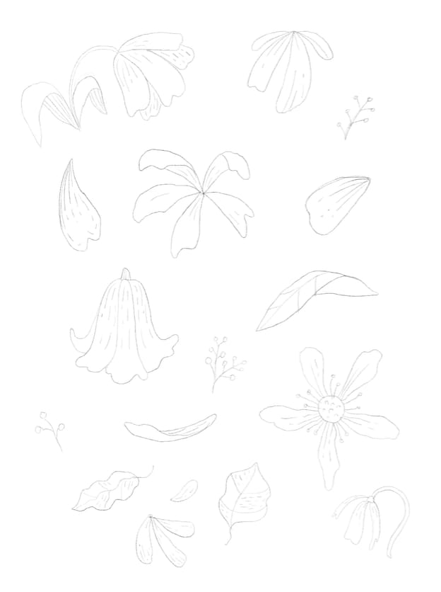 Illustrate from Sketches Workshop - image 7 - student project