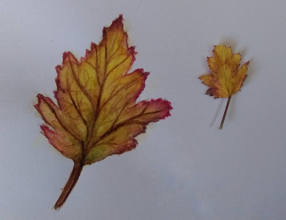 Day One Leaf (Watercolor) - image 1 - student project