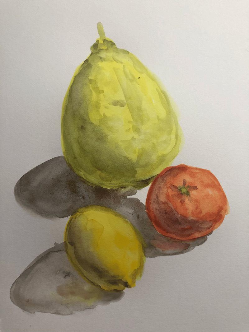 Citrus sketch - image 1 - student project