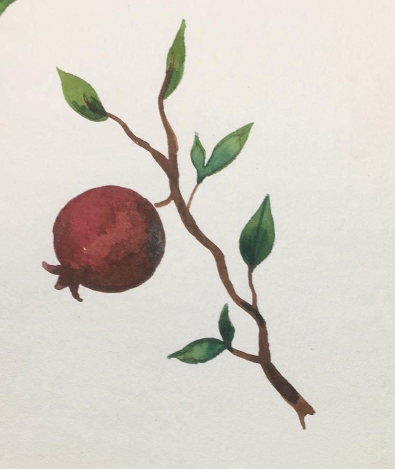 Ana's 100 day Challenge - image 20 - student project