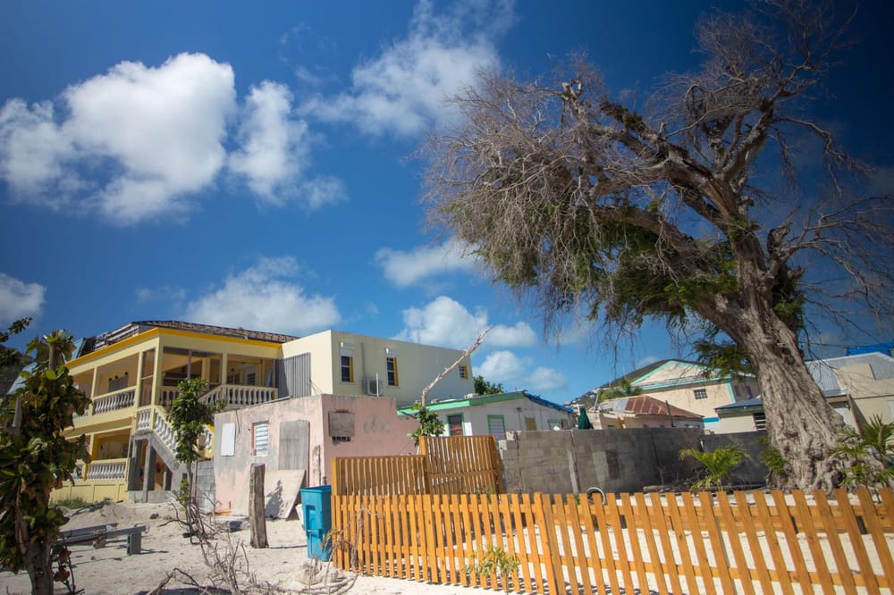 Just Learning | Skillshare Student Project