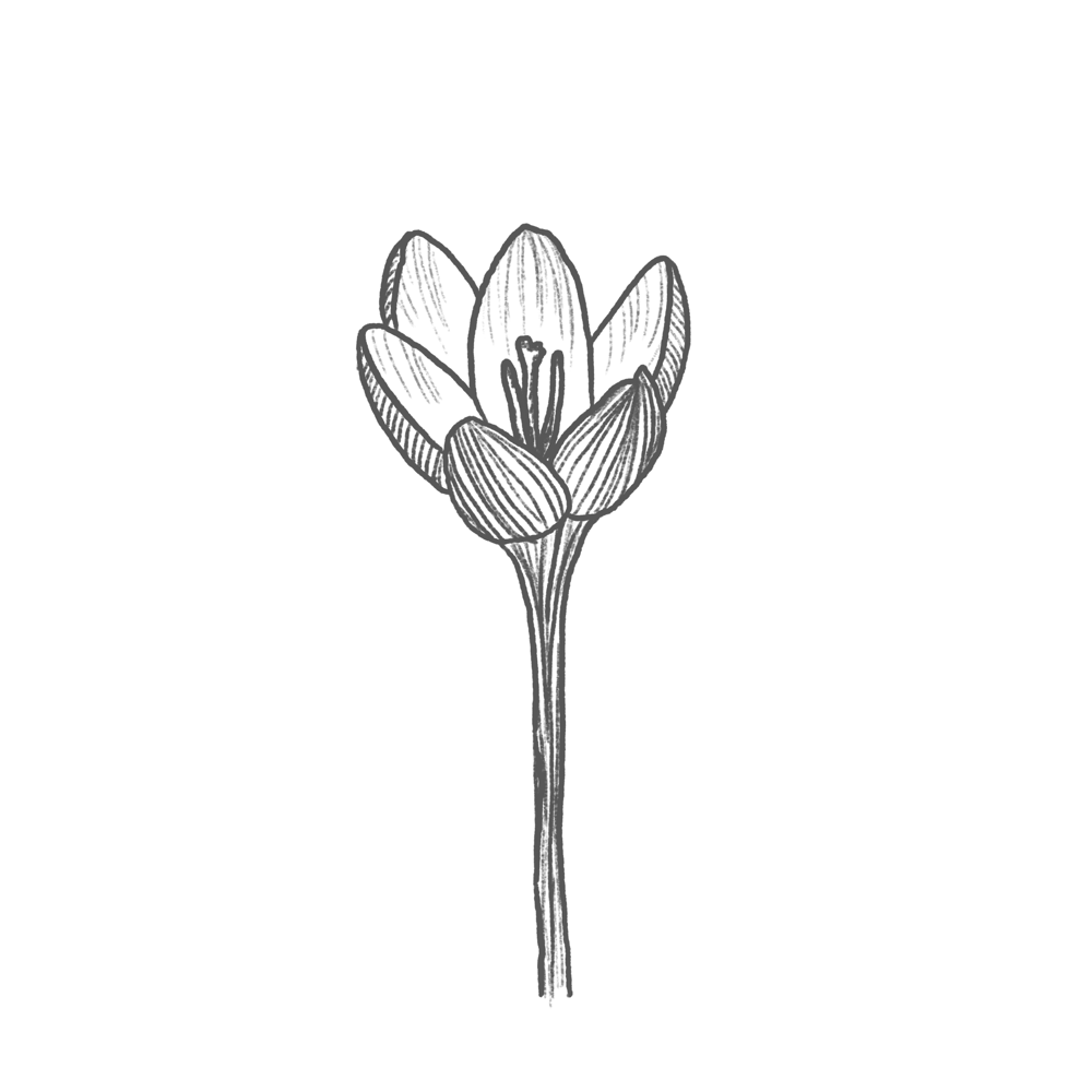 Blue Bouquet - image 2 - student project