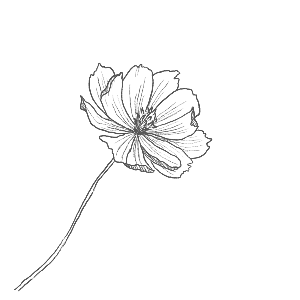 Blue Bouquet - image 3 - student project