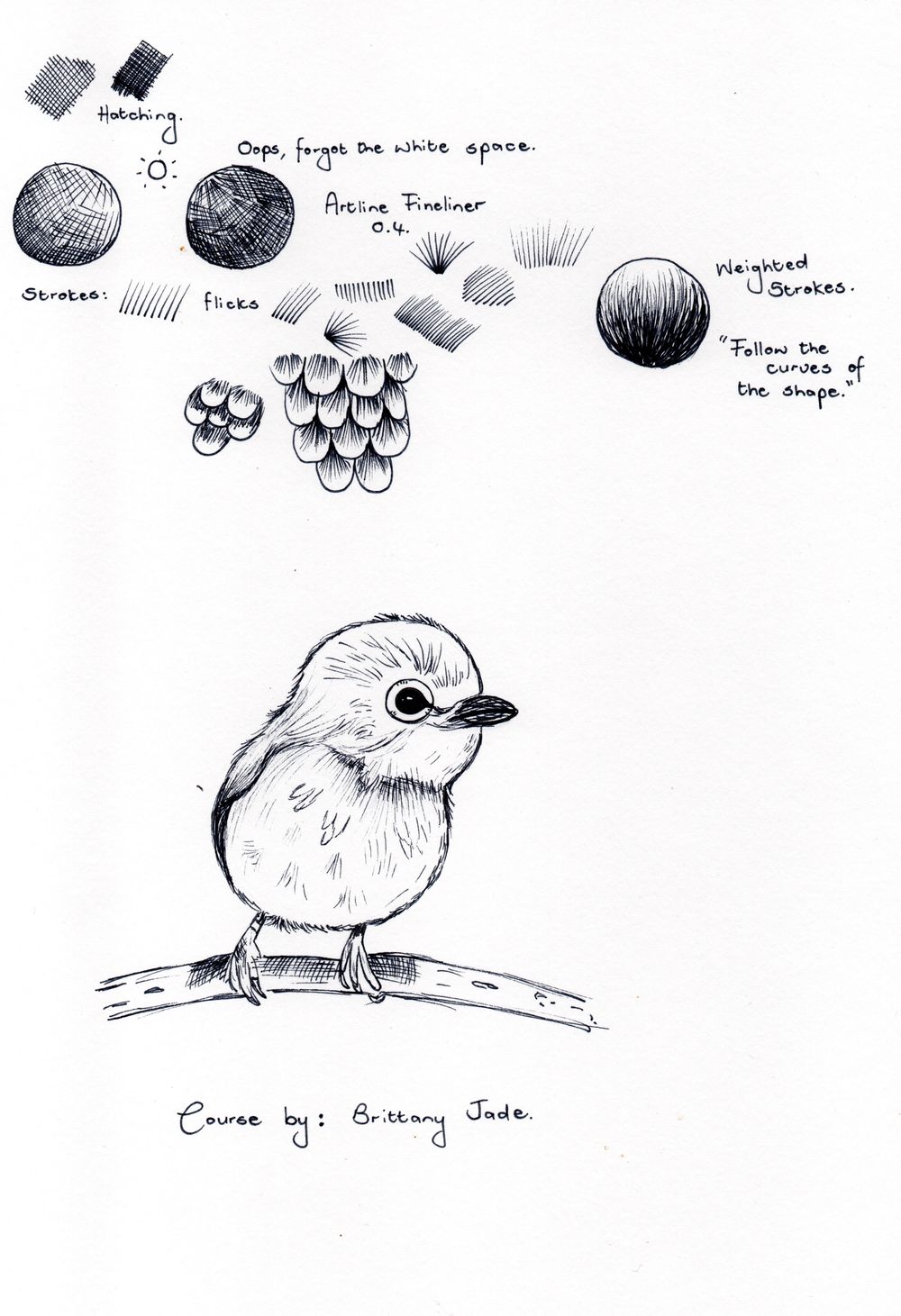Little Bird - image 1 - student project