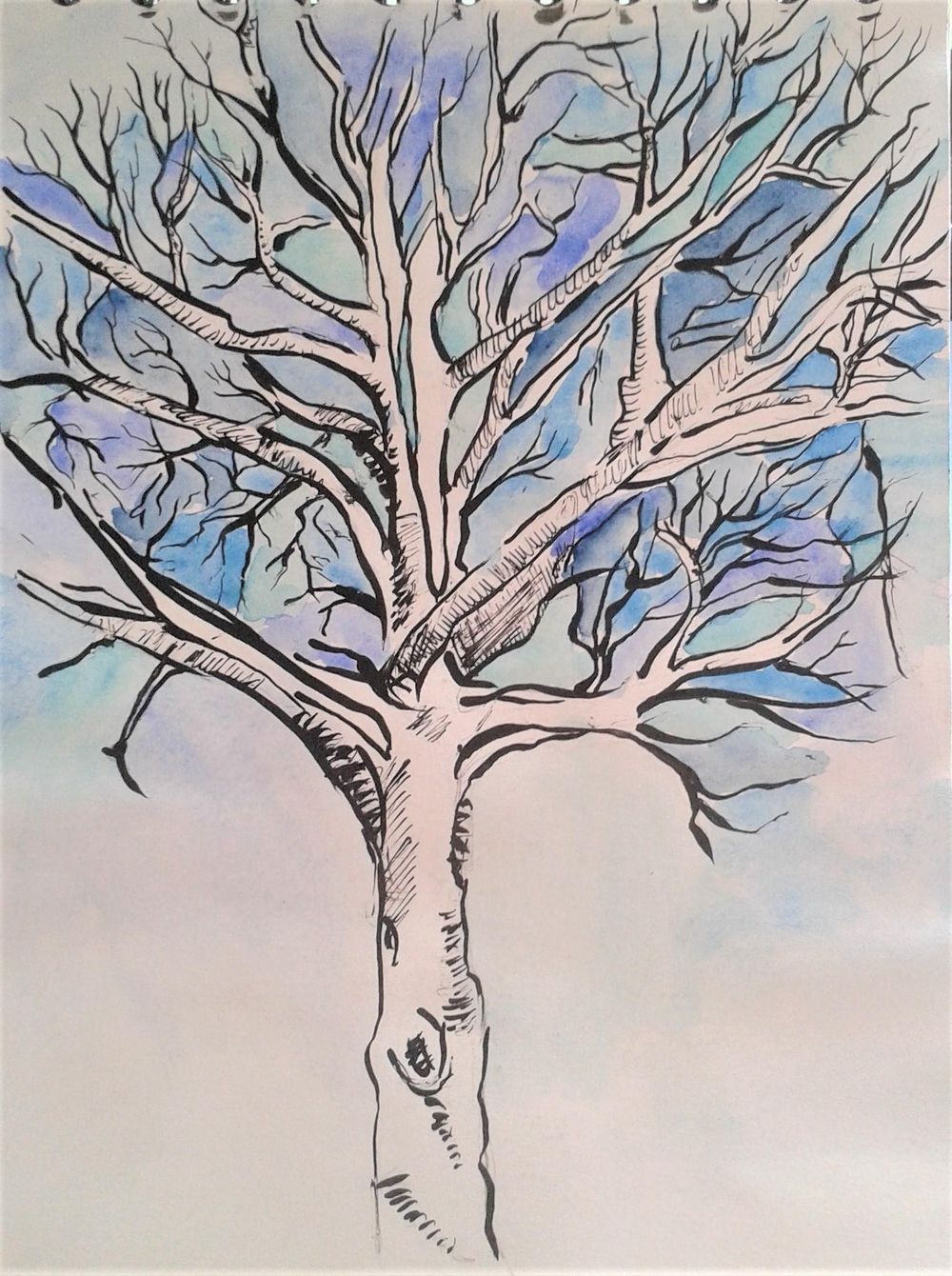 Winter explorations... - image 2 - student project