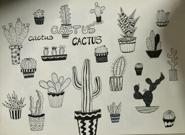 Houseplants - image 2 - student project