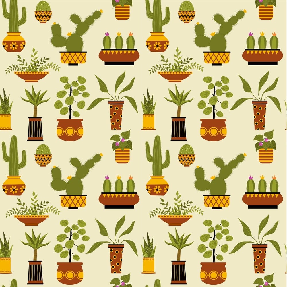 Houseplants - image 4 - student project
