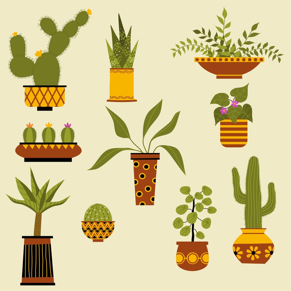 Houseplants - image 3 - student project