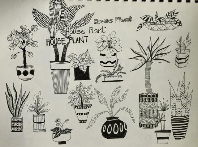 Houseplants - image 1 - student project