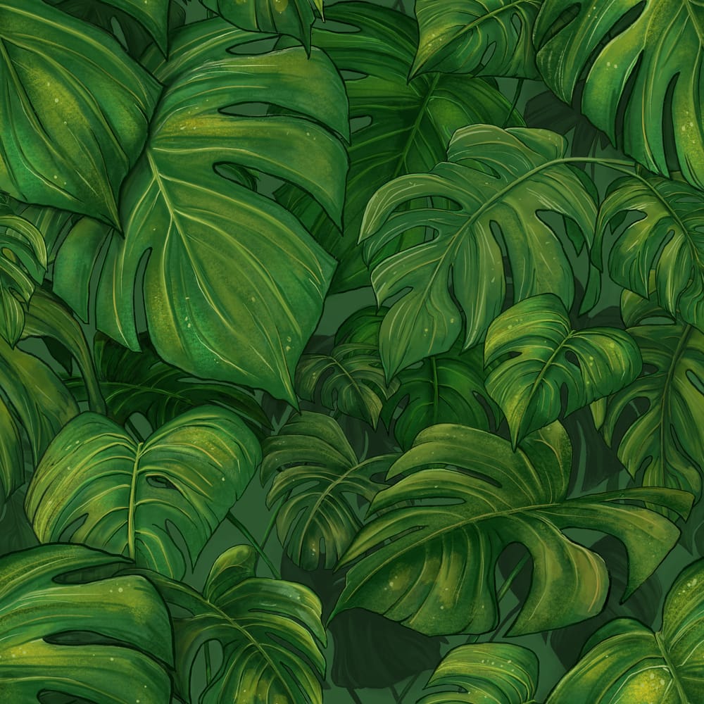 Painting Monstera leaves - image 1 - student project