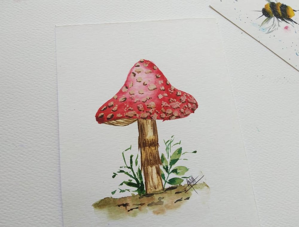 Mushrooms Mushrooms Everywhere... - image 1 - student project
