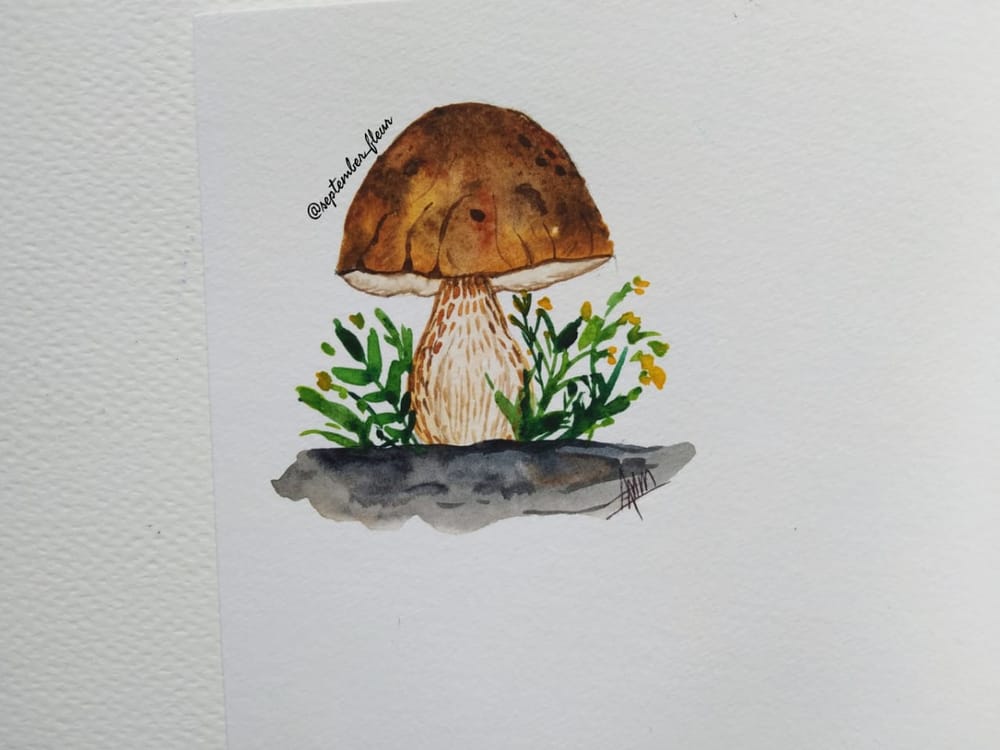 Mushrooms Mushrooms Everywhere... - image 2 - student project