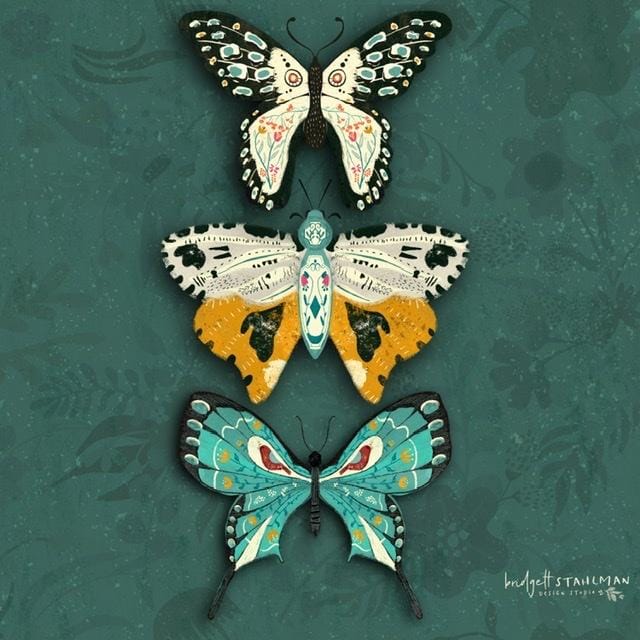 Butterfly series #1 - image 4 - student project