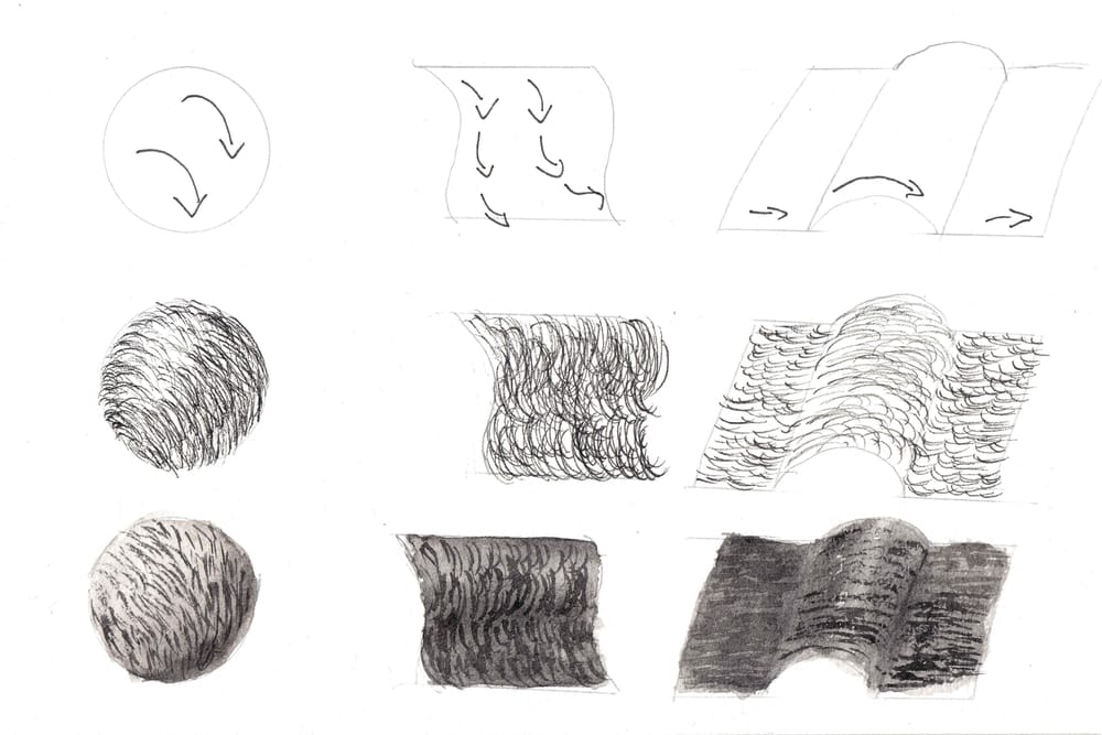 Fur exercises - image 3 - student project