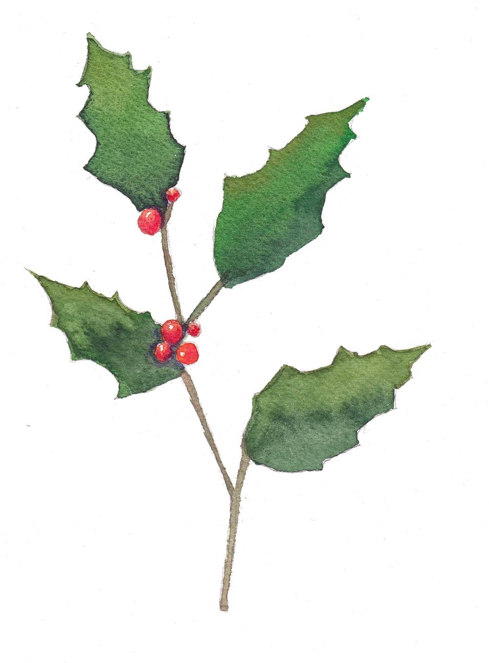 Winter greenery with Irina - image 1 - student project