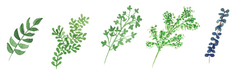 Wreath Practice - image 3 - student project