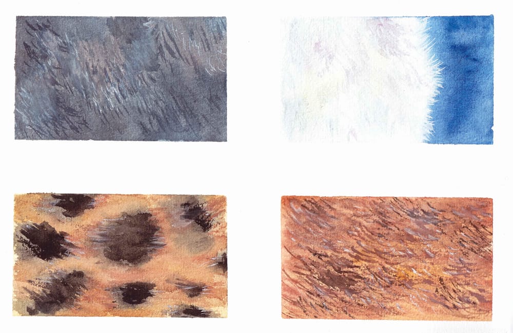 Fur exercises - image 2 - student project