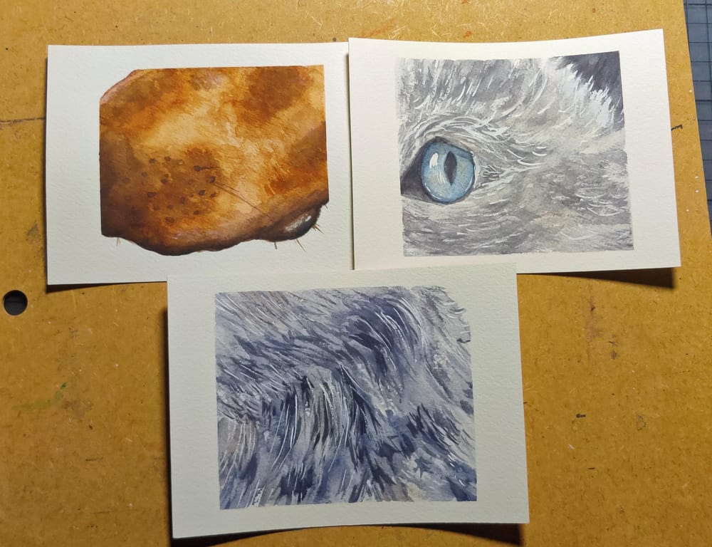 Animal Texture - image 1 - student project