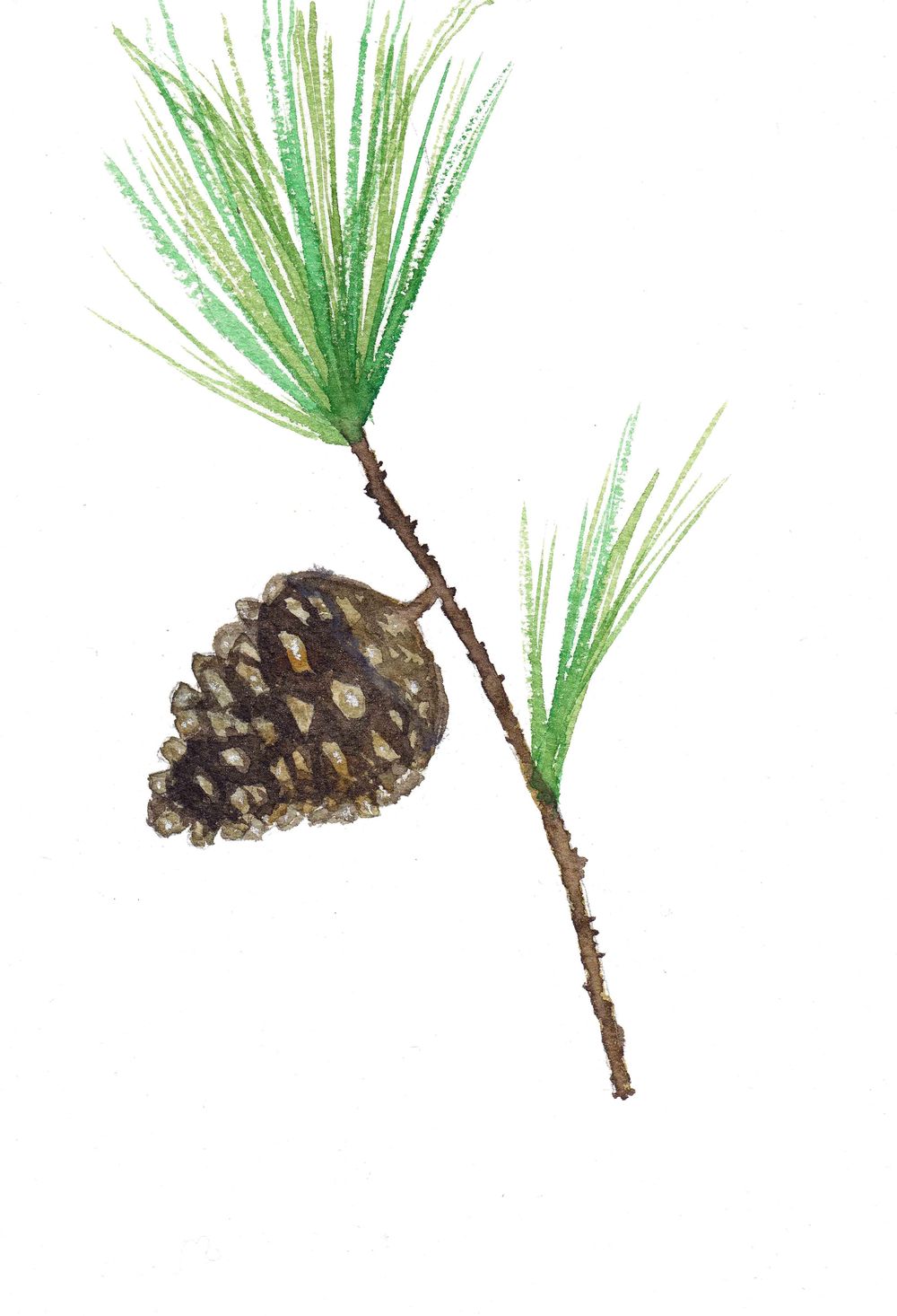 Winter greenery with Irina - image 3 - student project