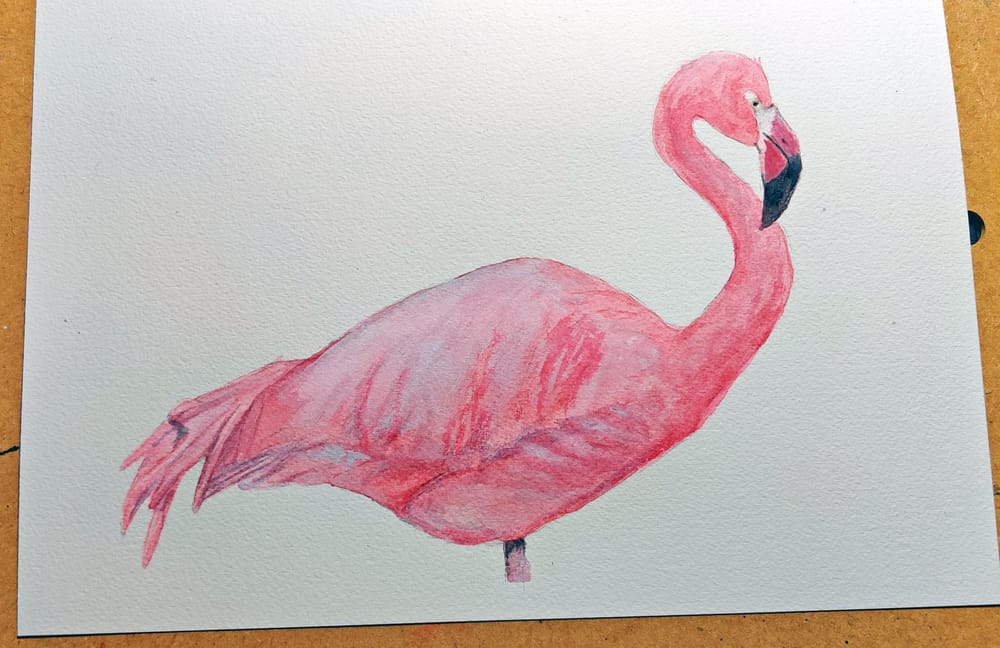 Animal Texture - image 4 - student project