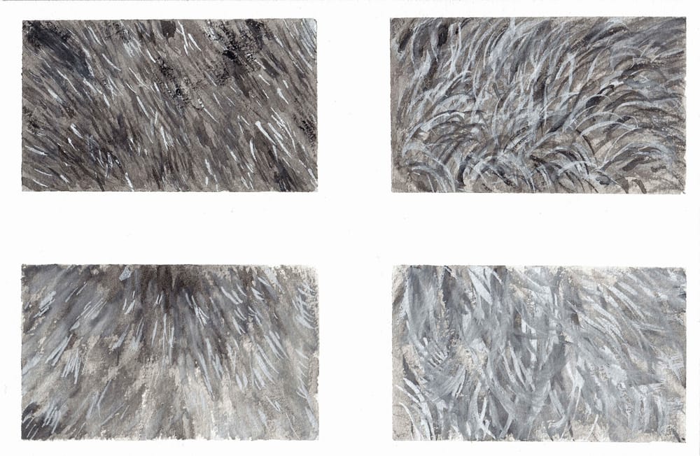 Fur exercises - image 1 - student project