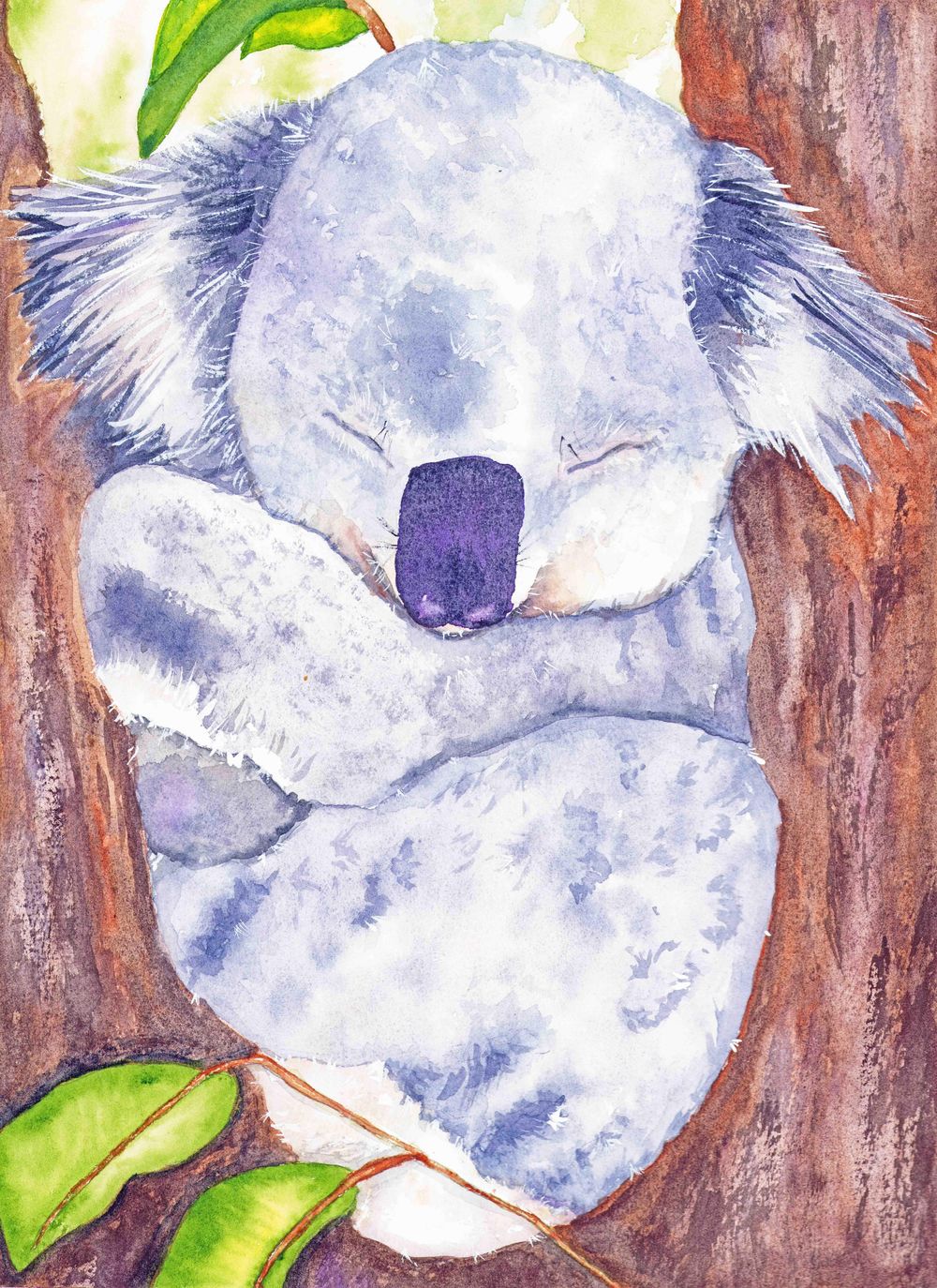 My baby Koala - image 1 - student project