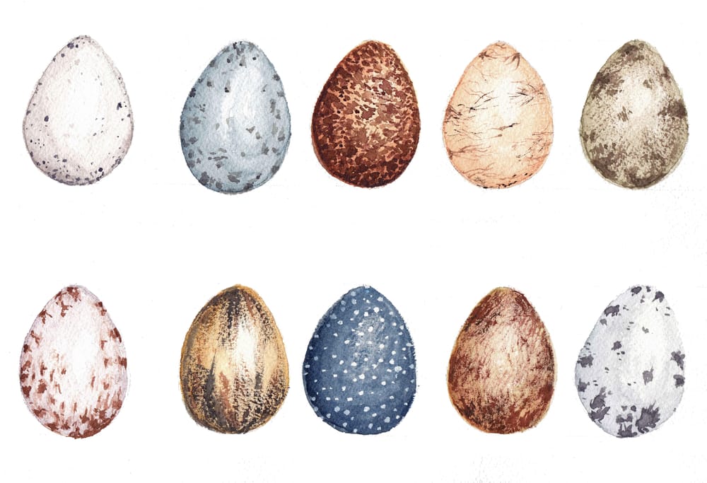 Late Easter Eggs - image 2 - student project