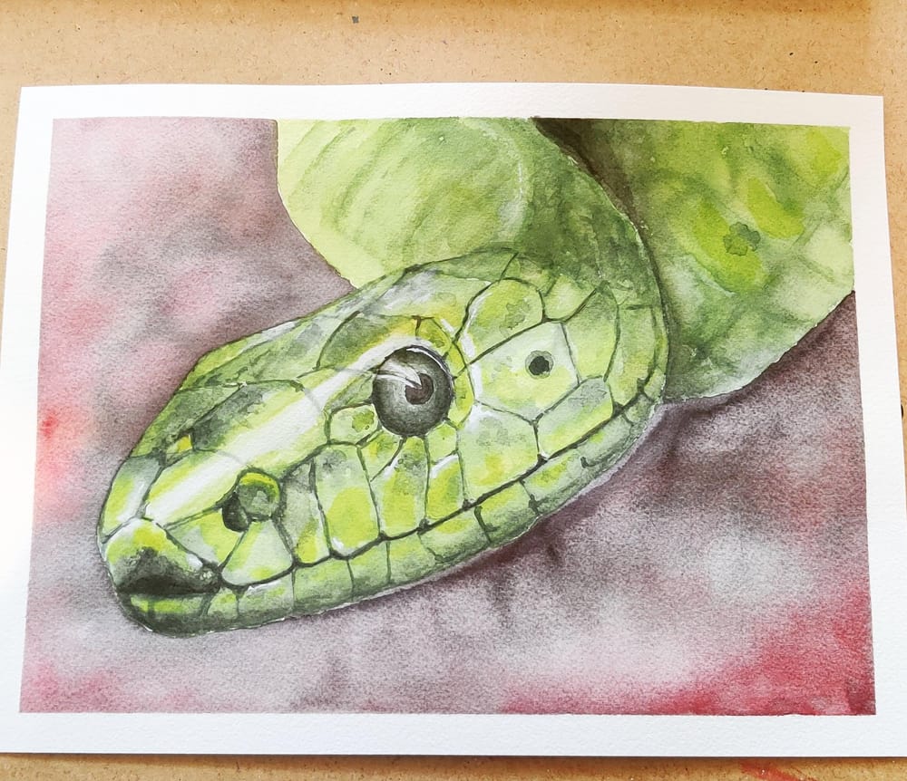 Animal Texture - image 5 - student project