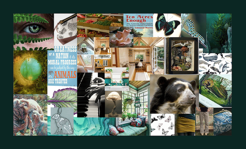 Ally's Ultimate Year! - image 1 - student project