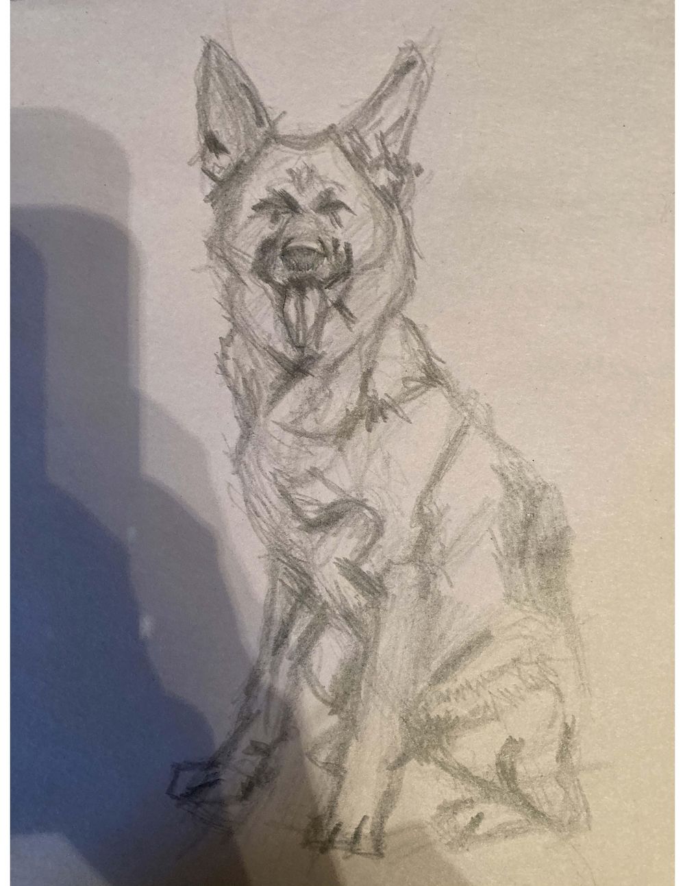 Doggo - image 1 - student project
