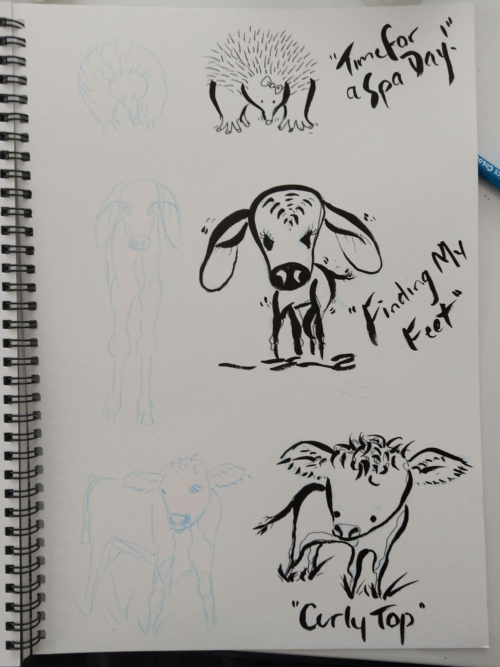 A Wee Coo - image 3 - student project