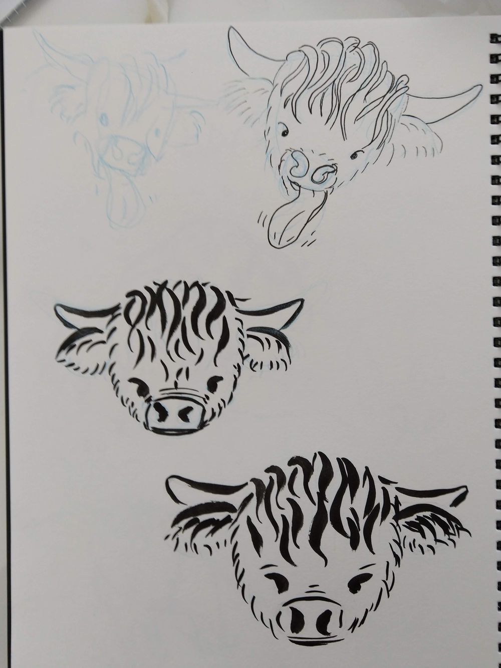 A Wee Coo - image 4 - student project