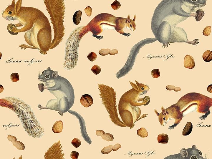 Photoshop Digital Pattern: Nuts For Squirrels - image 2 - student project