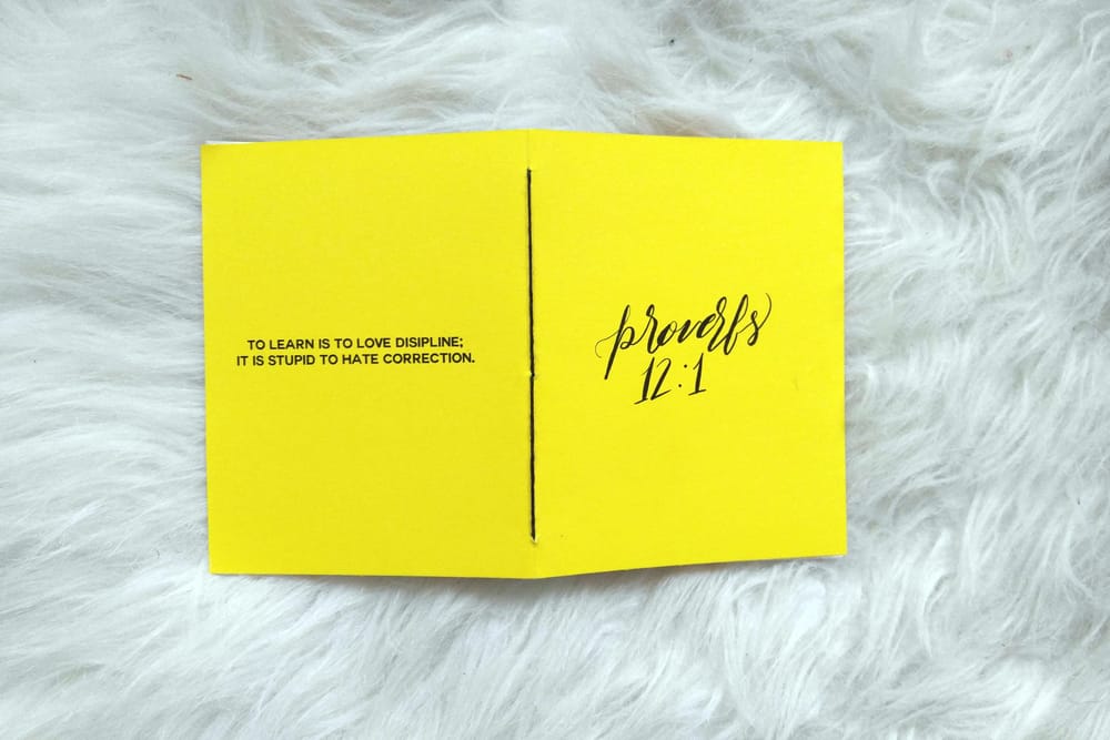 Pocket Pads! - image 2 - student project