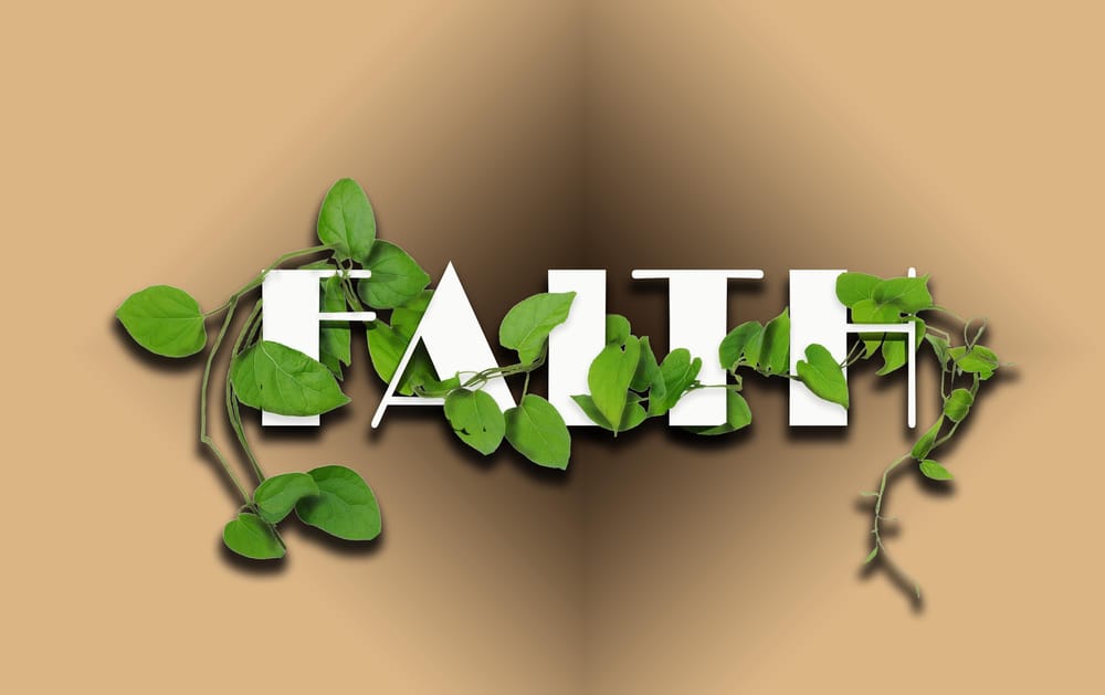 Class Projects - image 22 - student project