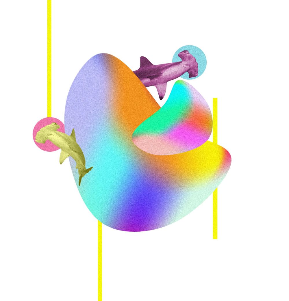 Swimming Through Color - image 1 - student project