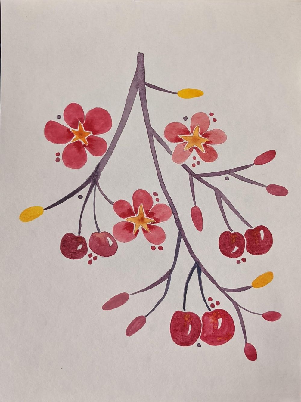 Watercolor fruits - image 3 - student project