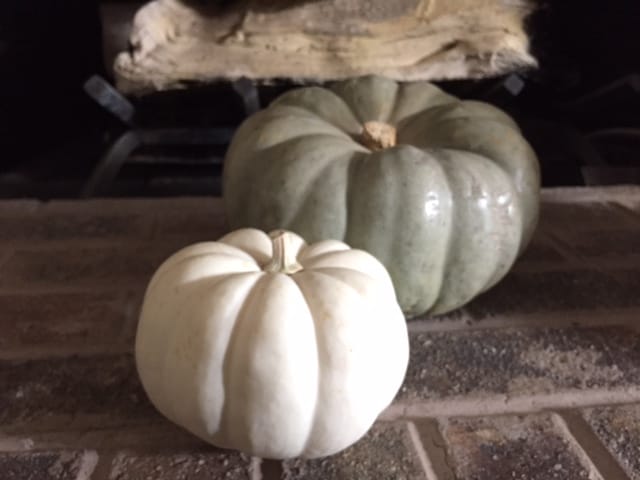 My Grey Tone Pumpkins - image 1 - student project