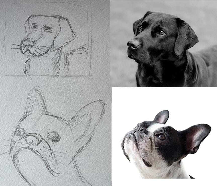 Draw Anything with Basic Shapes - image 1 - student project