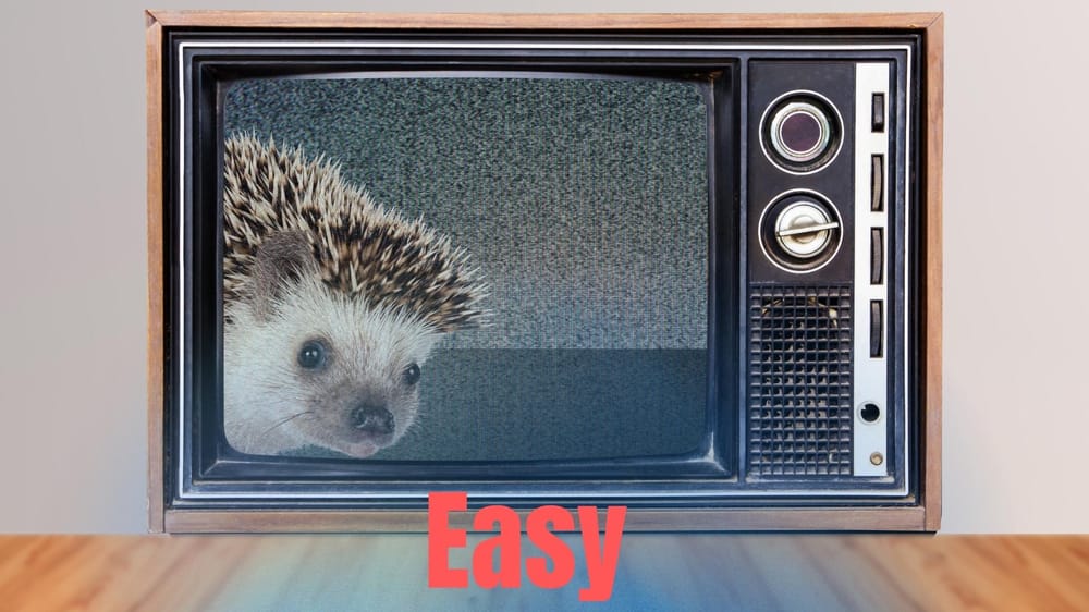 hedgehogs - image 6 - student project